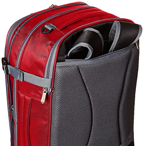 AmazonBasics Carry-On Travel Backpack, Red