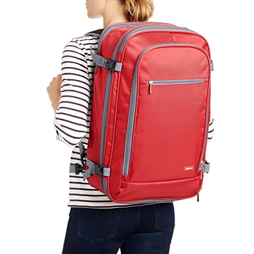 AmazonBasics Carry-On Travel Backpack, Red