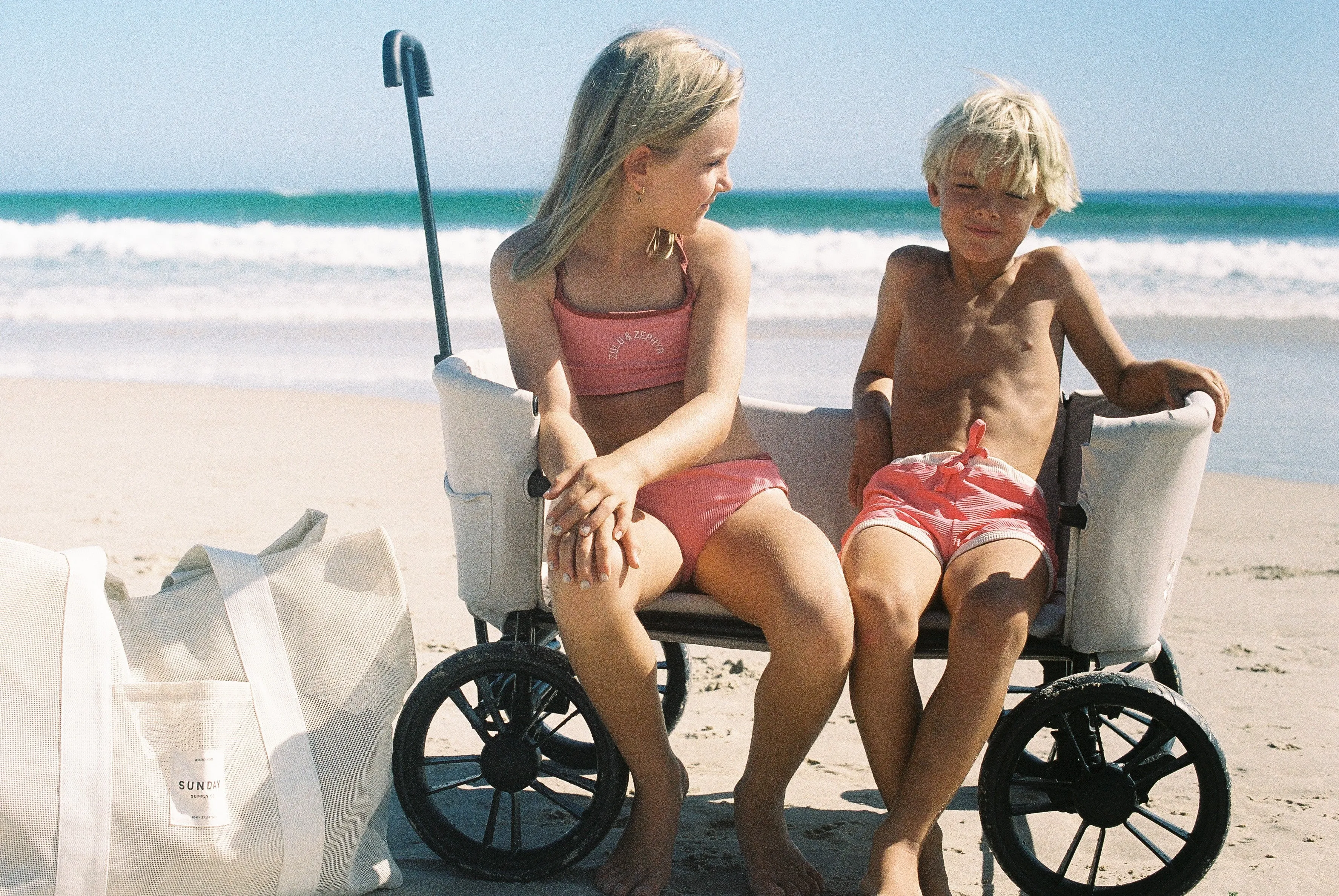 Dunes Beach Cart